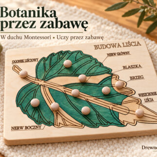 Układanka - puzzle montessori budowa liścia