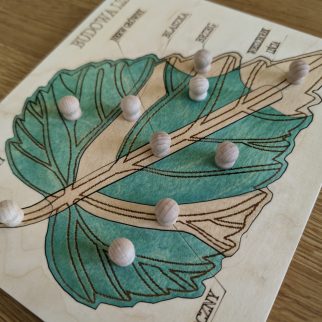 Układanka - puzzle montessori budowa liścia