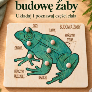 Układanka-puzzle montessori budowa żaby