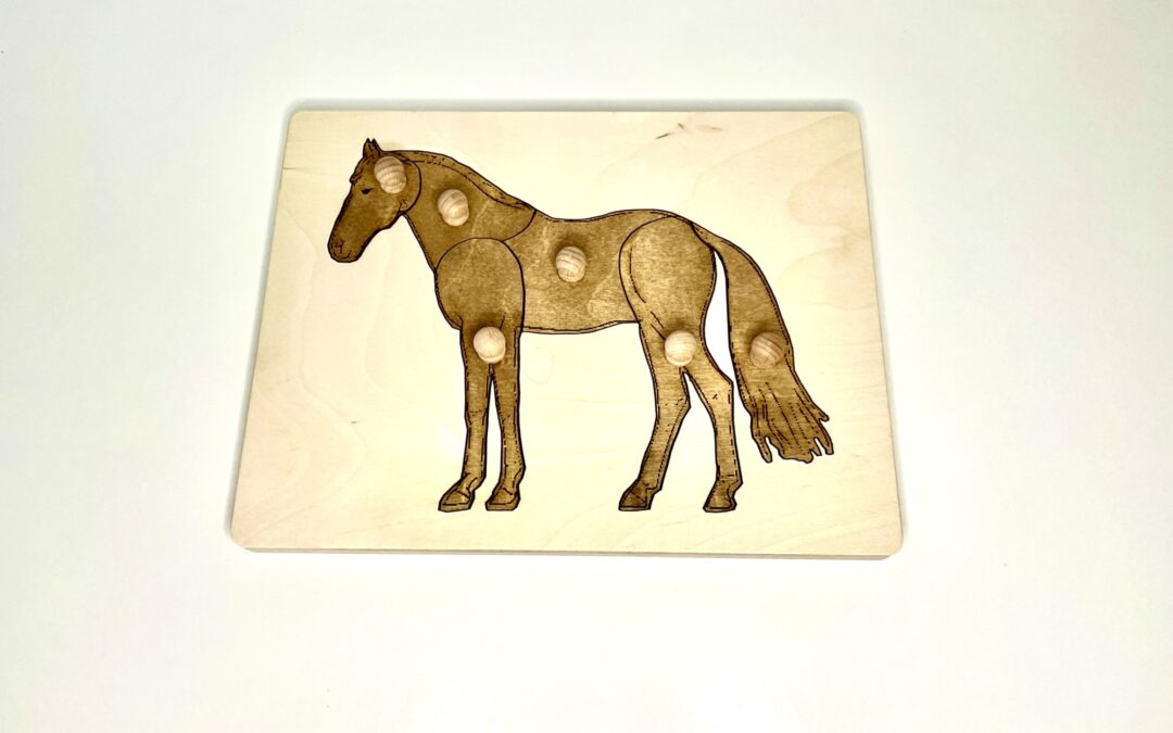 Montessori – Pomoce, puzzle, układanki, zabawki