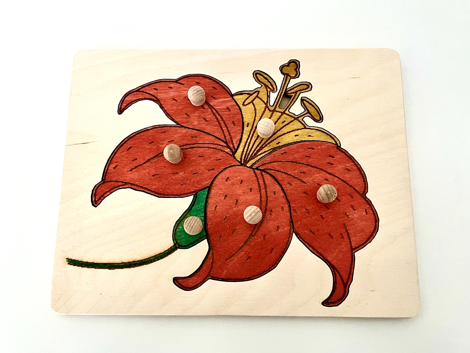 Układanka-puzzle montessori budowa kwiatu