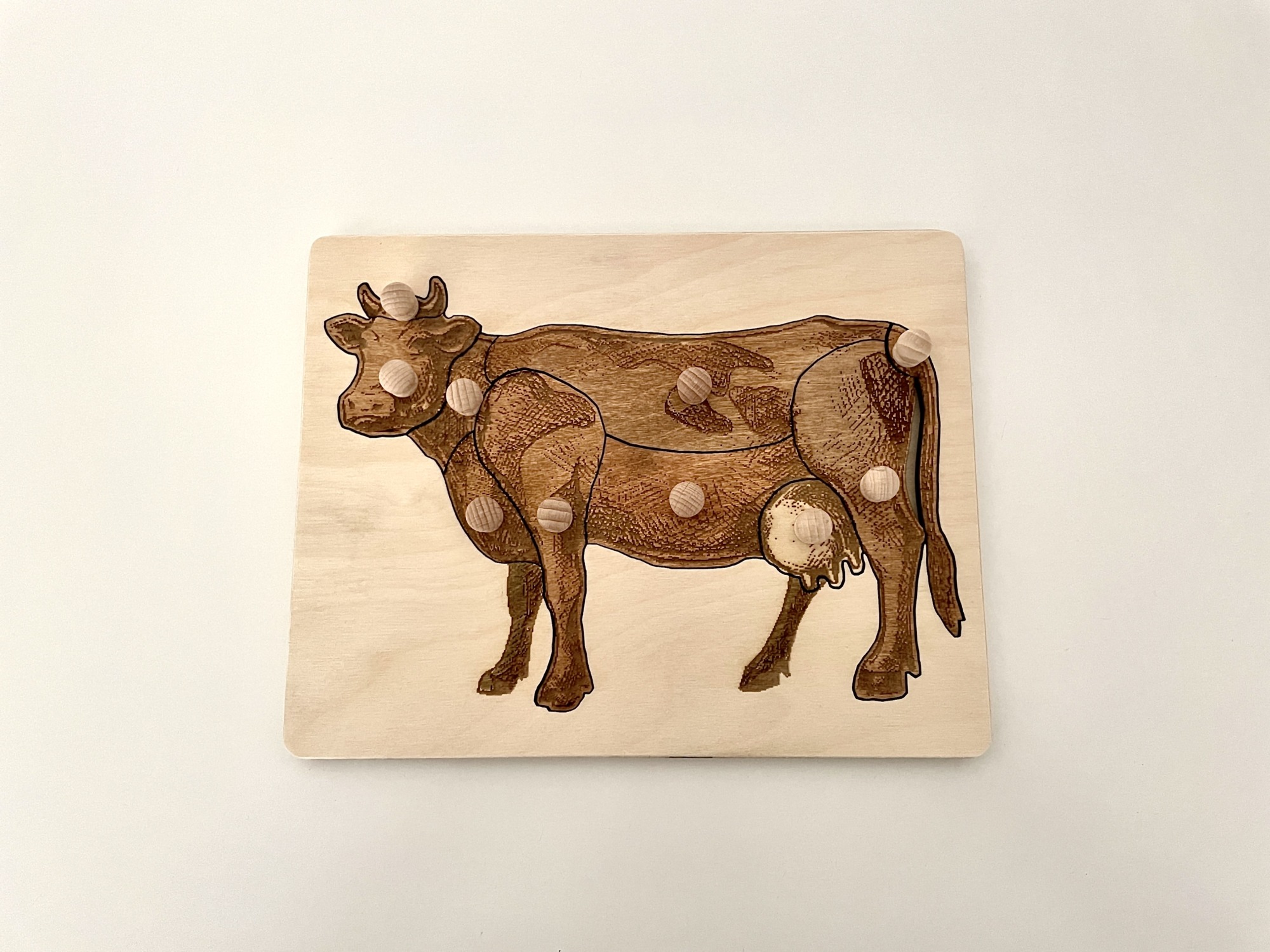 Układanka-puzzle montessori budowa krowy
