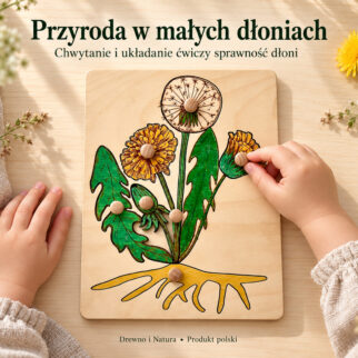 Układanka - puzzle montessori budowa mleczu