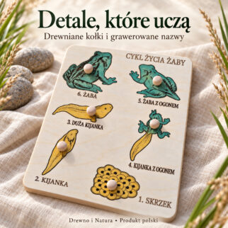 Układanka-puzzle montessori cykl życia  żaby