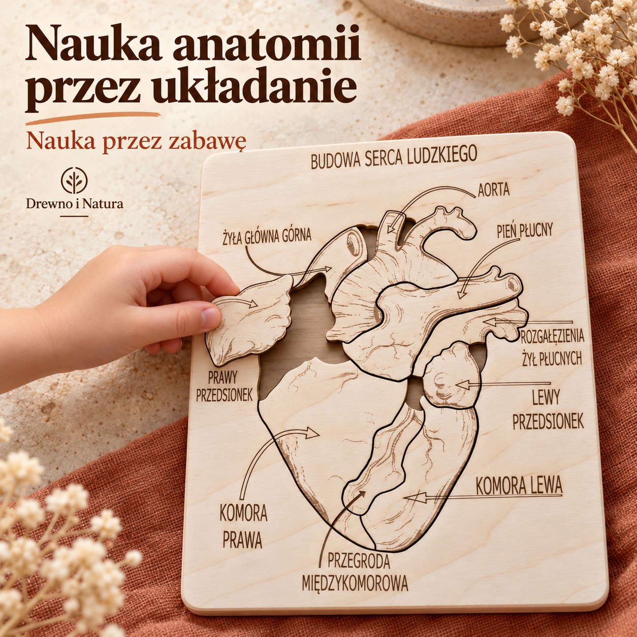 Budowa serca – drewniana układanka anatomiczna Montessori | 9 elementów - obrazek 2