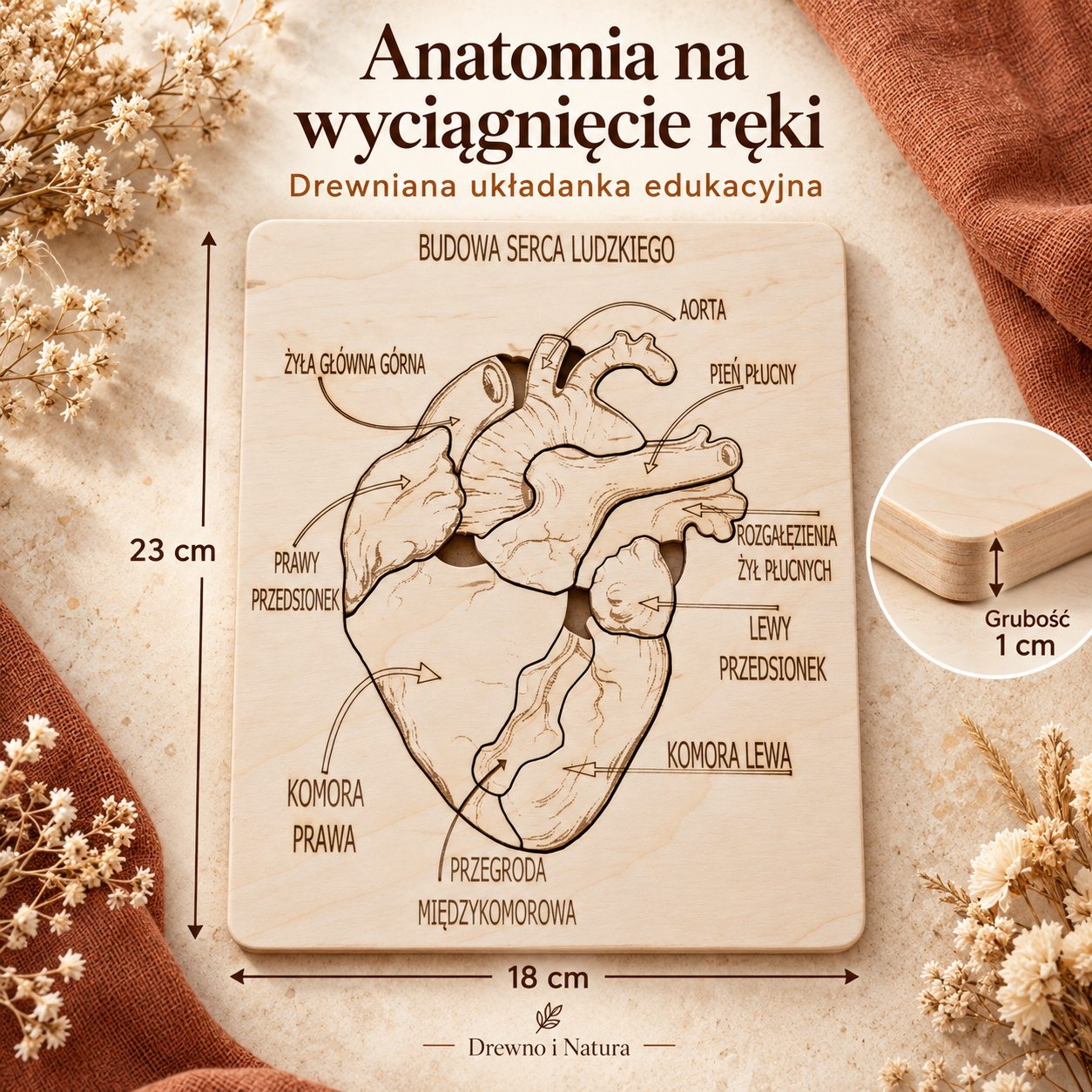 Budowa serca – drewniana układanka anatomiczna Montessori | 9 elementów - obrazek 5