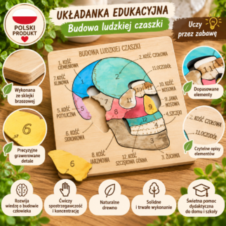 Budowa czaszki - anatomia człowieka