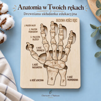 Budowa kości ręki - anatomia człowieka