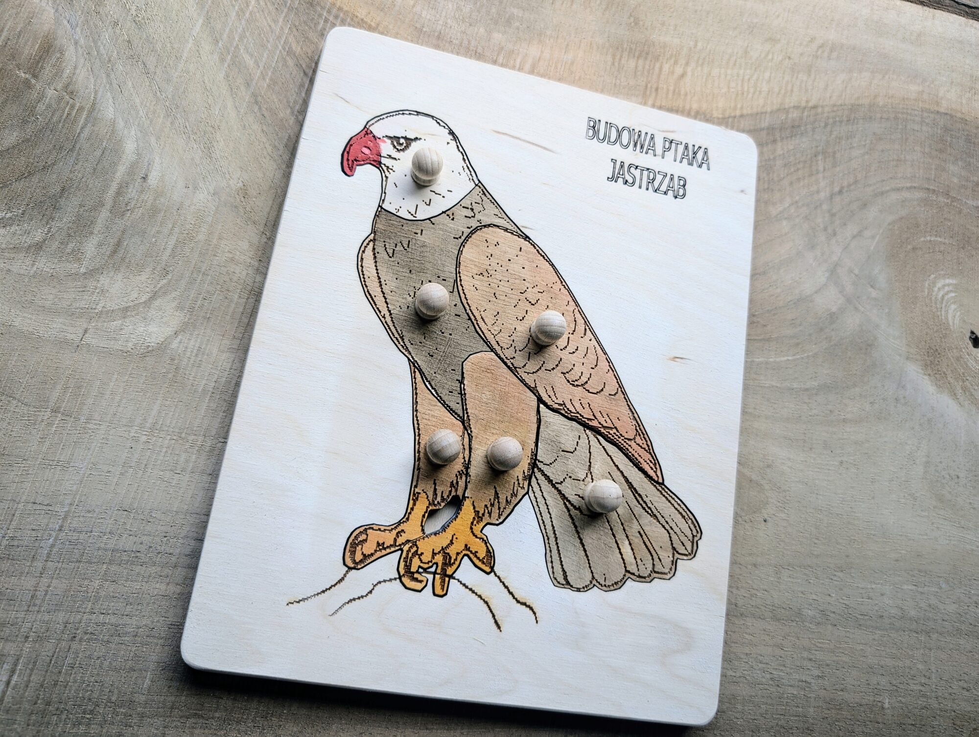 Układanka - puzzle montessori jastrząb